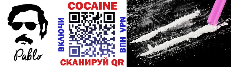 Cocaine Fish Scale  Купить закладки  Новоалтайск 