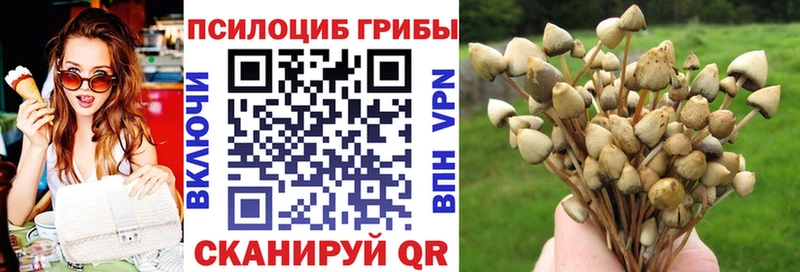 Купить  Новоалтайск  Галлюциногенные грибы MAGIC MUSHROOMS 